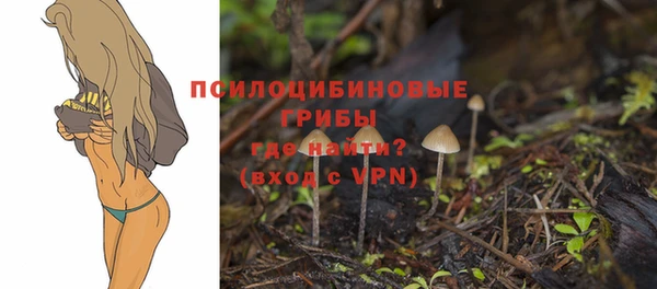 марки nbome Абаза