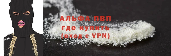 стаф Осинники