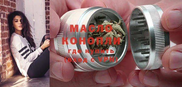 стаф Осинники