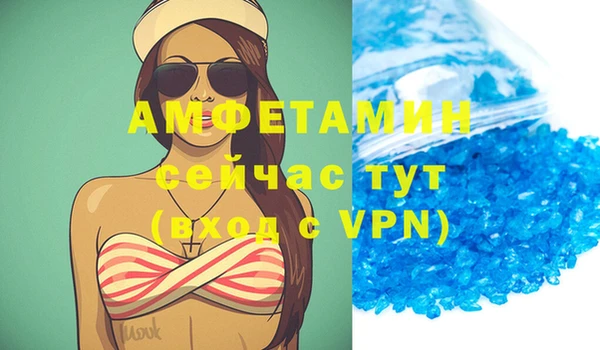 стаф Осинники