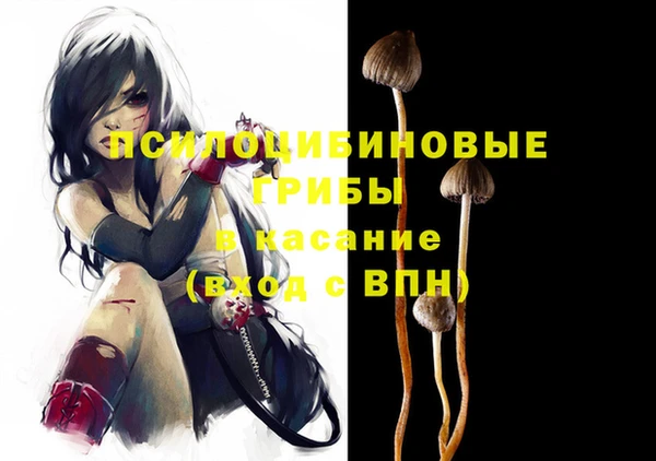 стаф Осинники