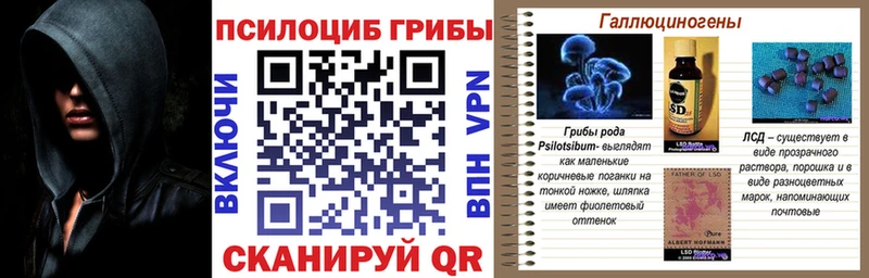 Галлюциногенные грибы Psilocybine cubensis  Тихорецк 