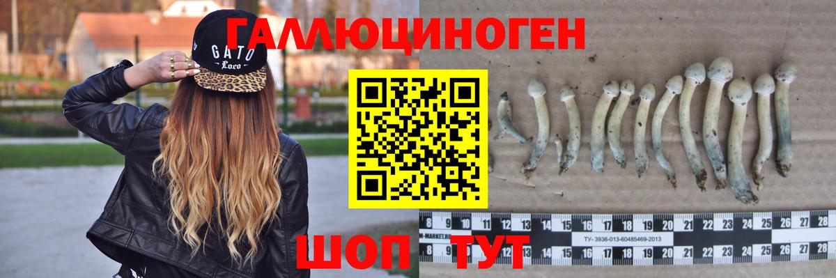 Тихорецк  Галлюциногенные грибы ЛСД  Вход с VPN 