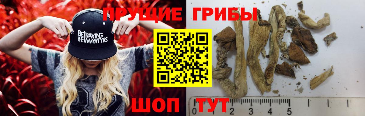 Псилоцибиновые грибы MAGIC MUSHROOMS Тихорецк